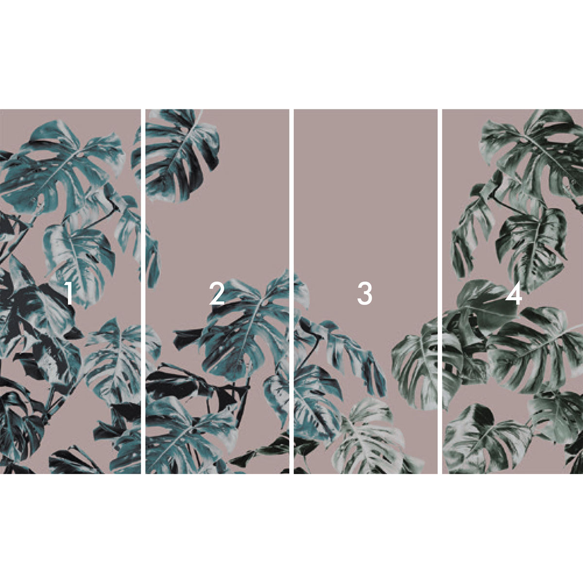 Komar  Vlies Fototapete Monstera Rosé 400x250 cm Bild 3