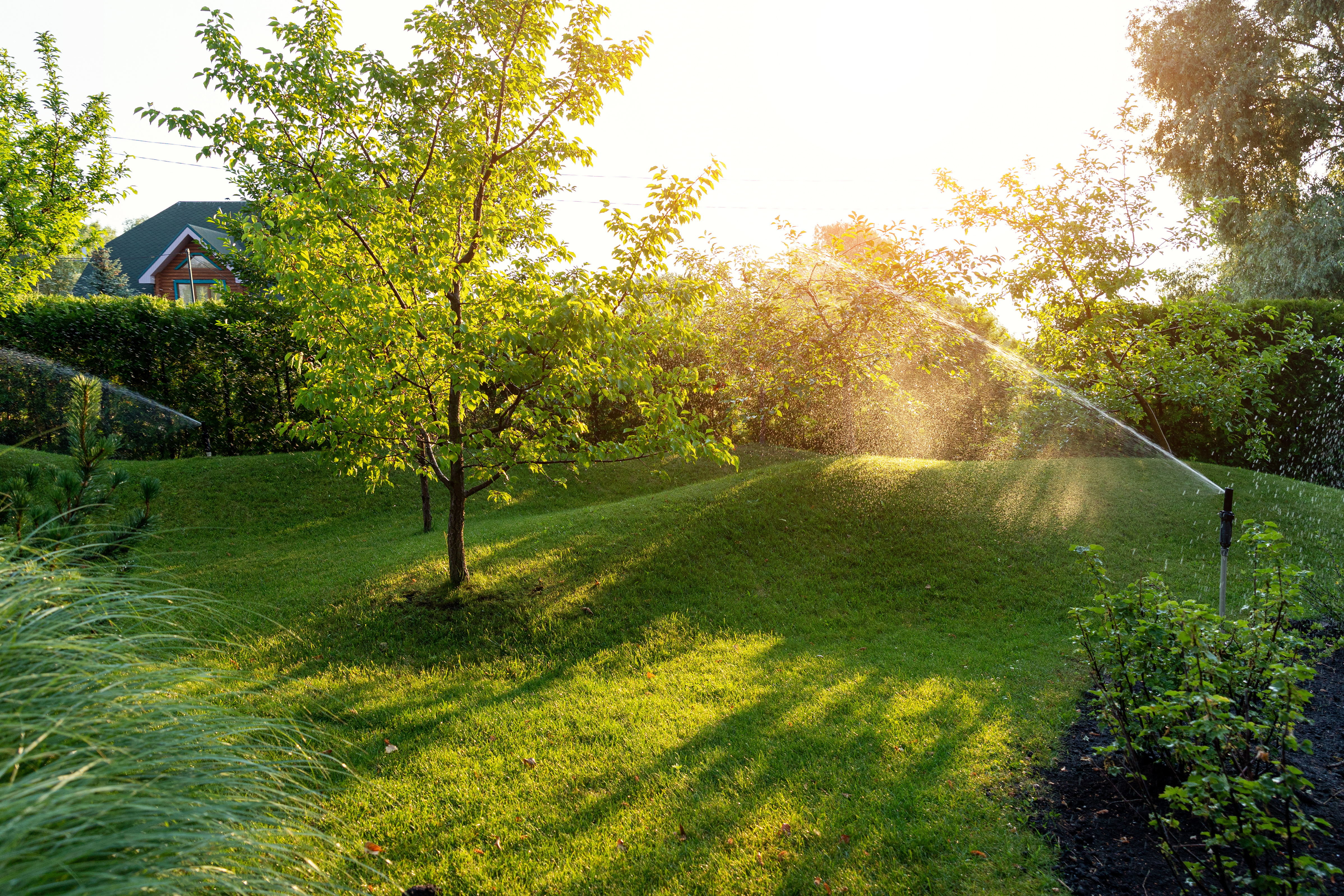 Rasensprenger auf der Wiese verteilt