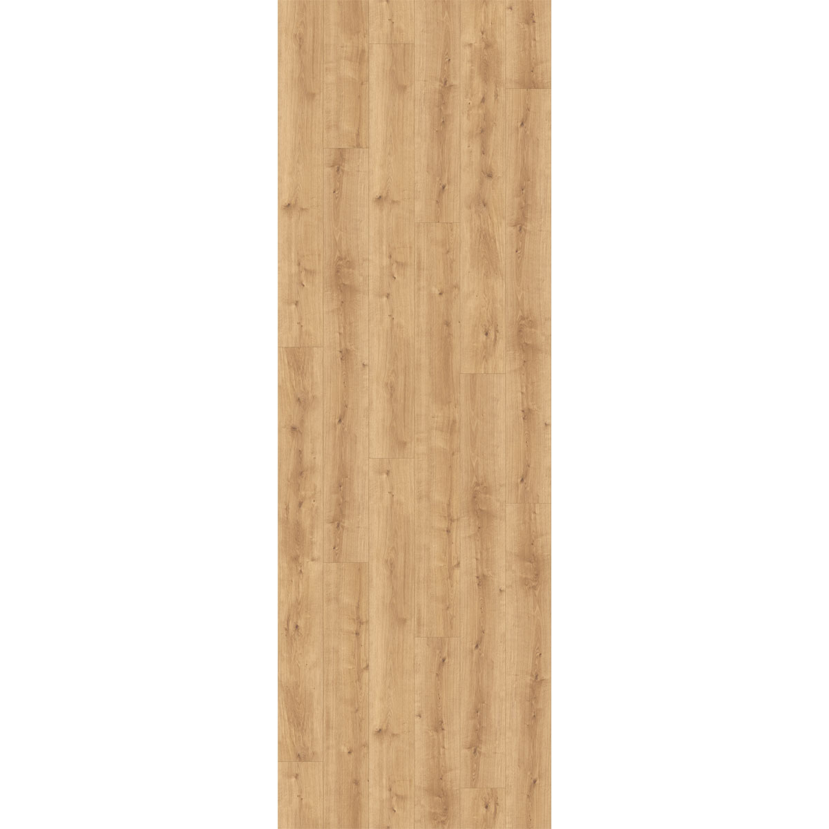 Parador Designboden Modular one Eiche pur Natur Holzstruktur 23,5 x 220 cm Bild 2