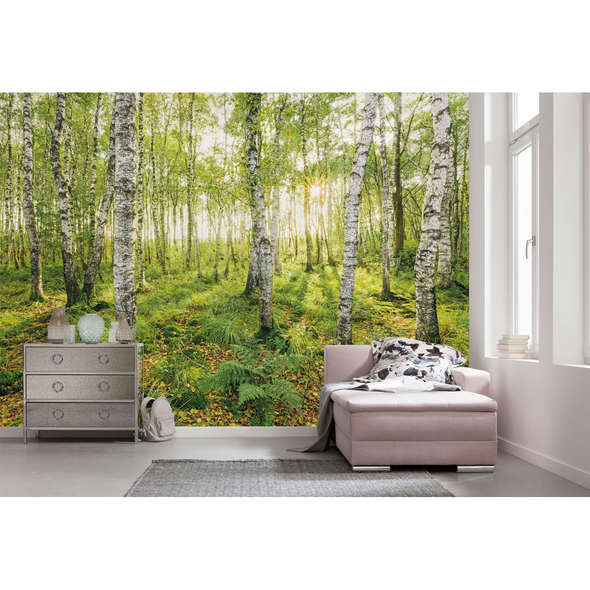 Komar  Vlies Fototapete Birch Trees 400x250 cm