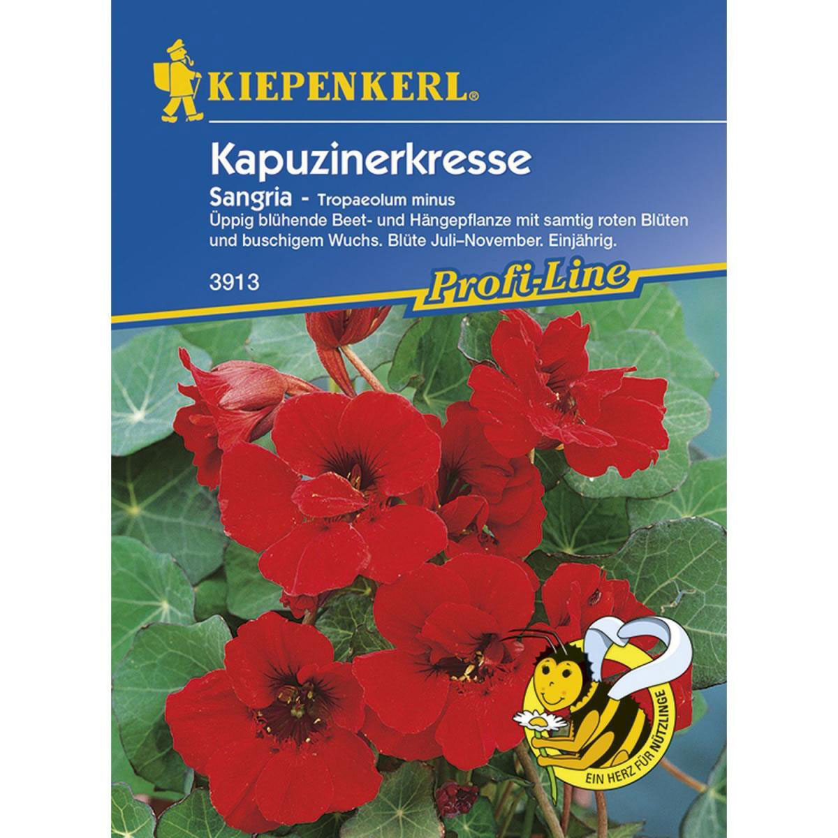 Kiepenkerl Kapuzinerkresse Sangria Profi-Line Bild 1