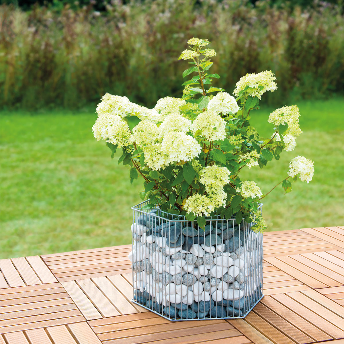 Wilk Gabionen-Pflanzgefäß Montana L Bild 2