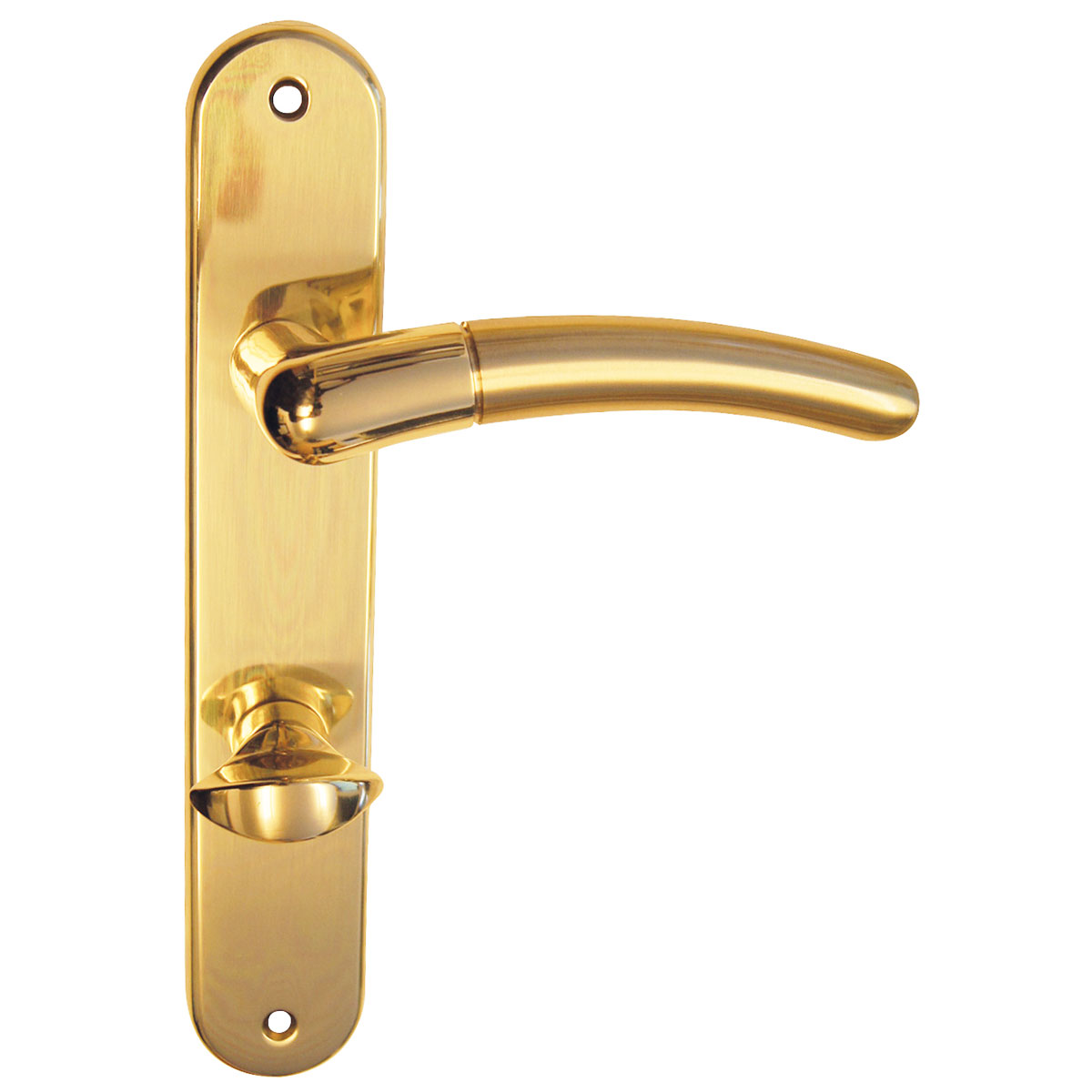 Alpertec Langschildgarnitur Beate-LS für WC poliert/satiniert