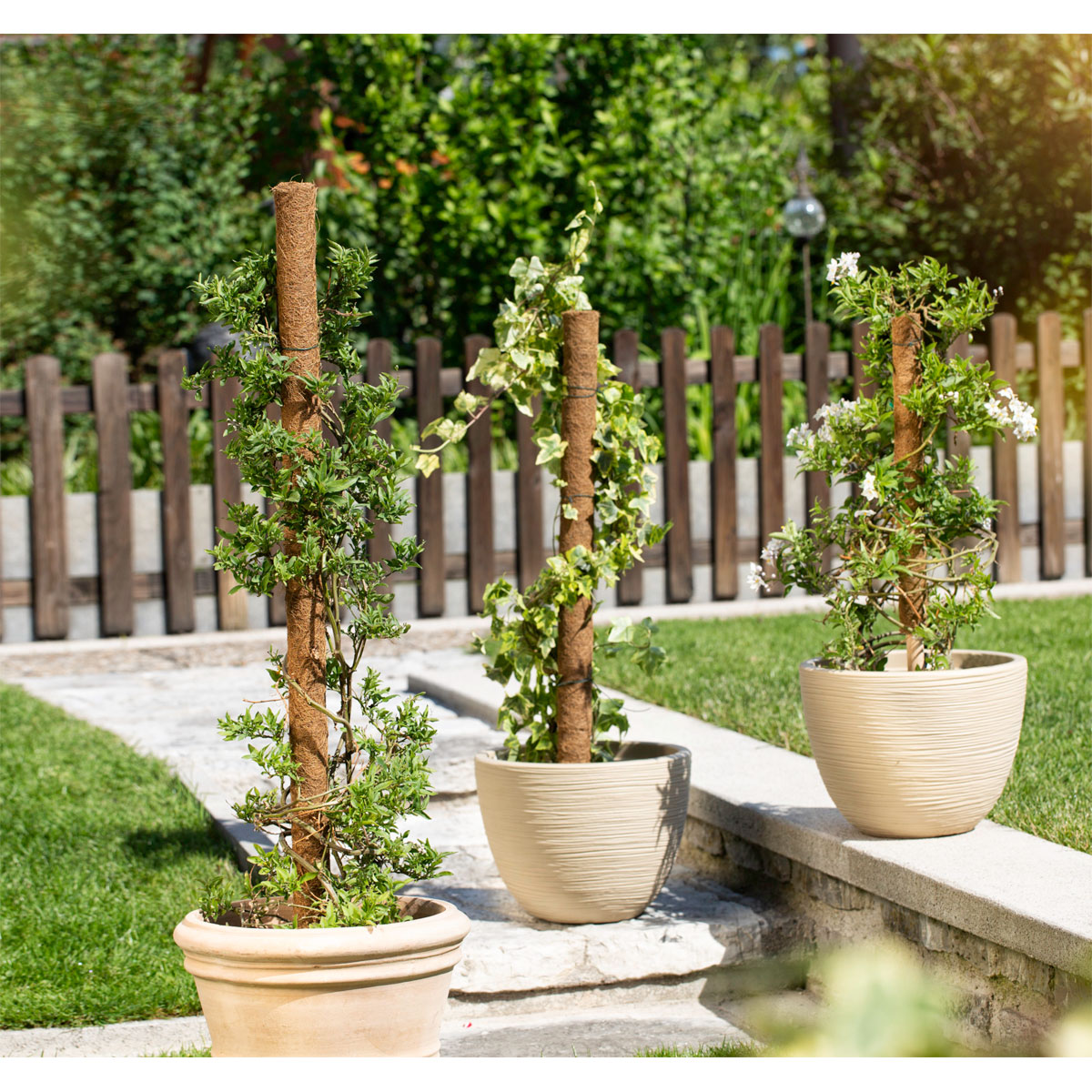 Windhager  Kokos-Pflanzstäbe 80 cm