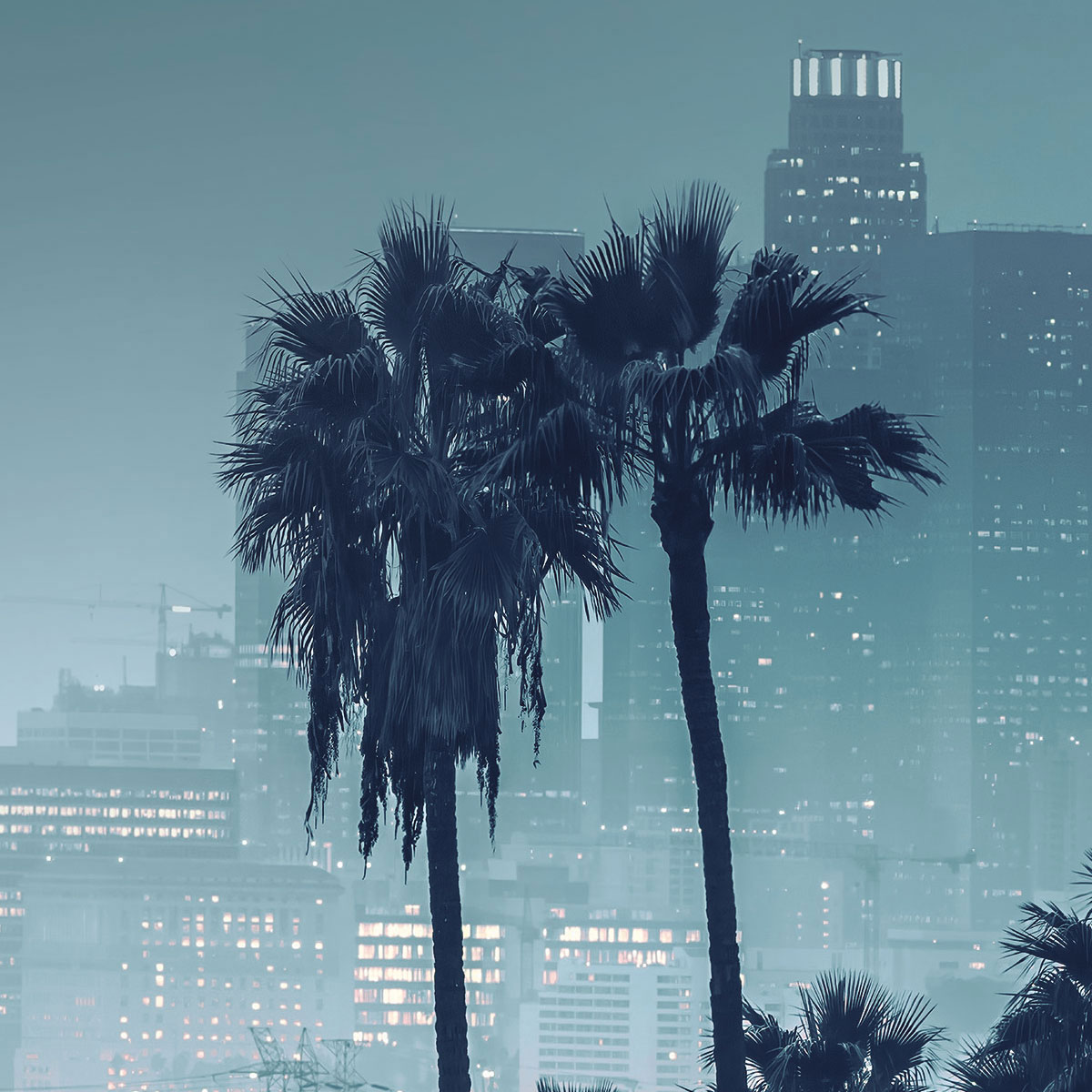 Komar  Papier Fototapete Audi R8 L.A. 368x254 cm Bild 5