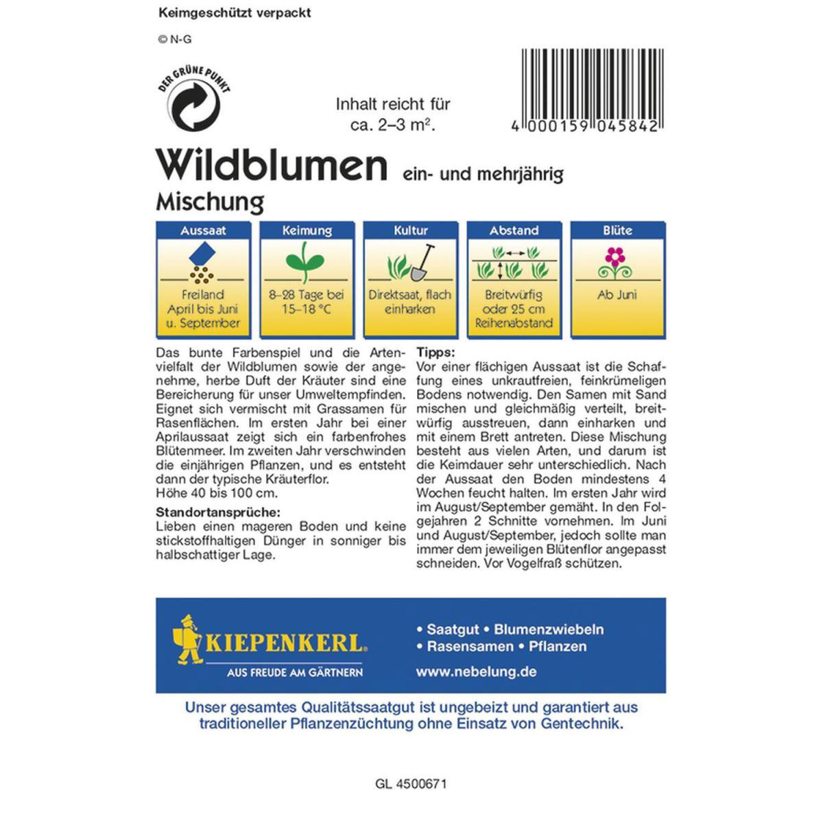 Kiepenkerl Wildblumen mit Kräutern Mischung ein-u.mehrjährig Profi-Line Bild 2