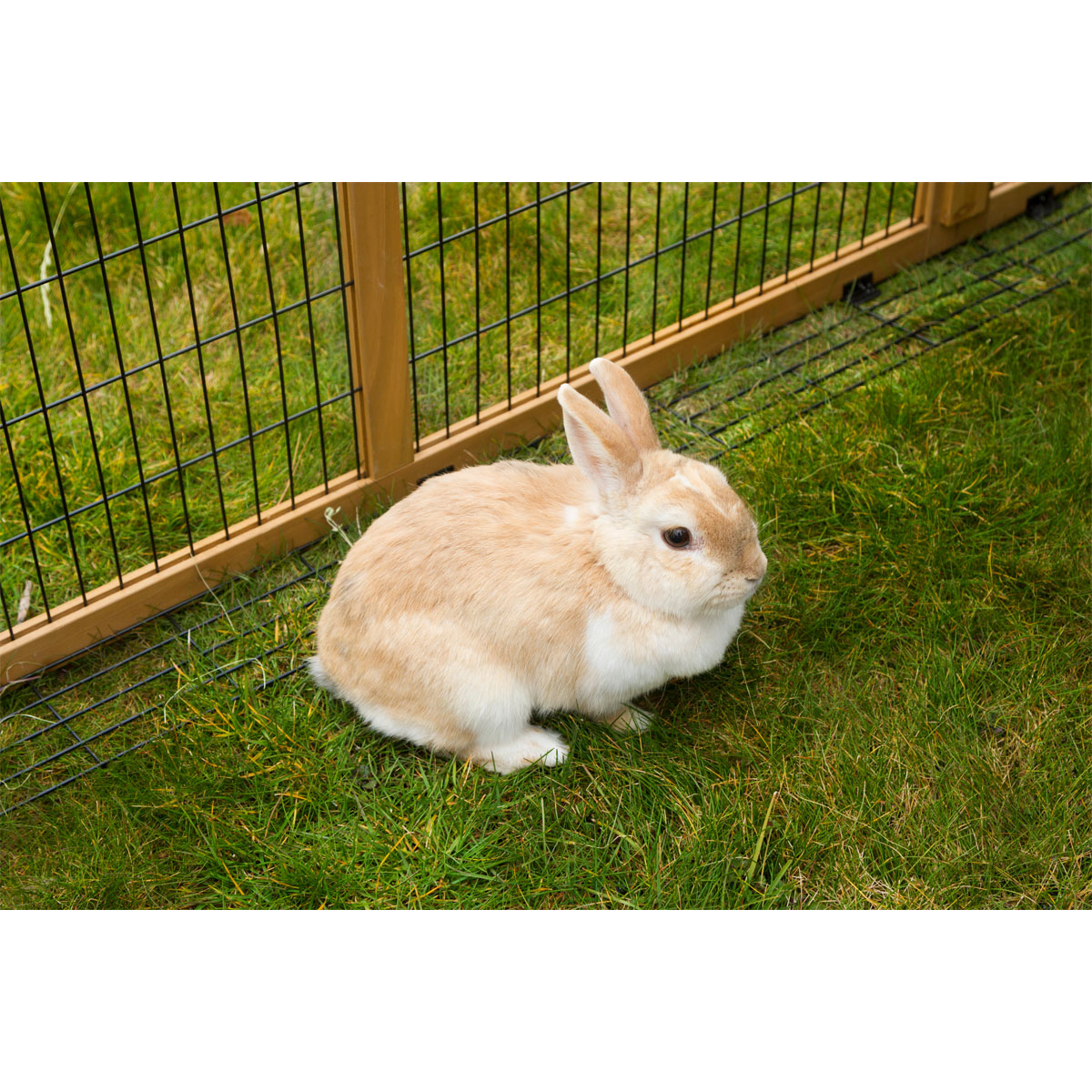 Freilaufgehege 220 x 115 x 75 cm braun Bild 6