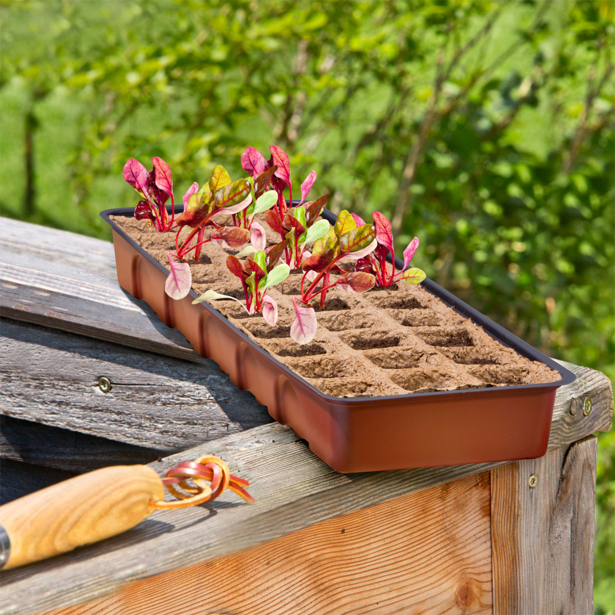 Windhager  Treibhaus-Fensterbank 30 Stück 54x16x11 cm Bild 1