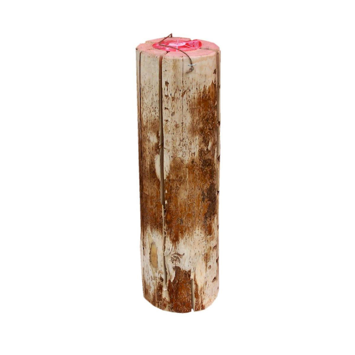 Schwedenfeuer Durchmesser 12-15 cm Höhe 47 cm