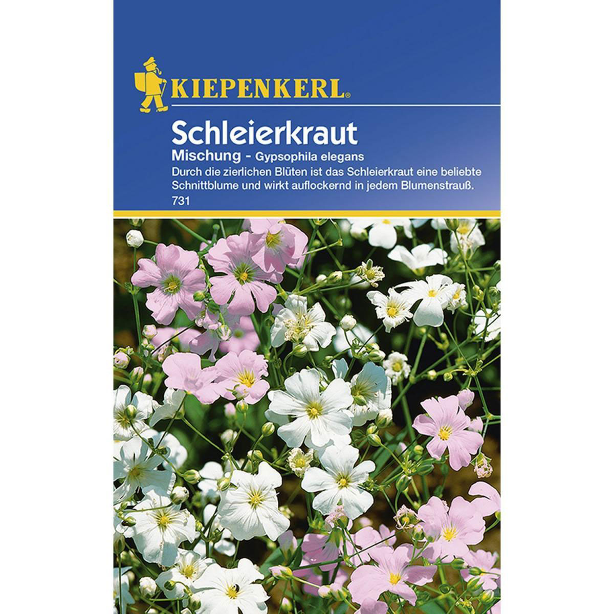 Kiepenkerl Schleierkraut Gypsophila einjährig Bild 1