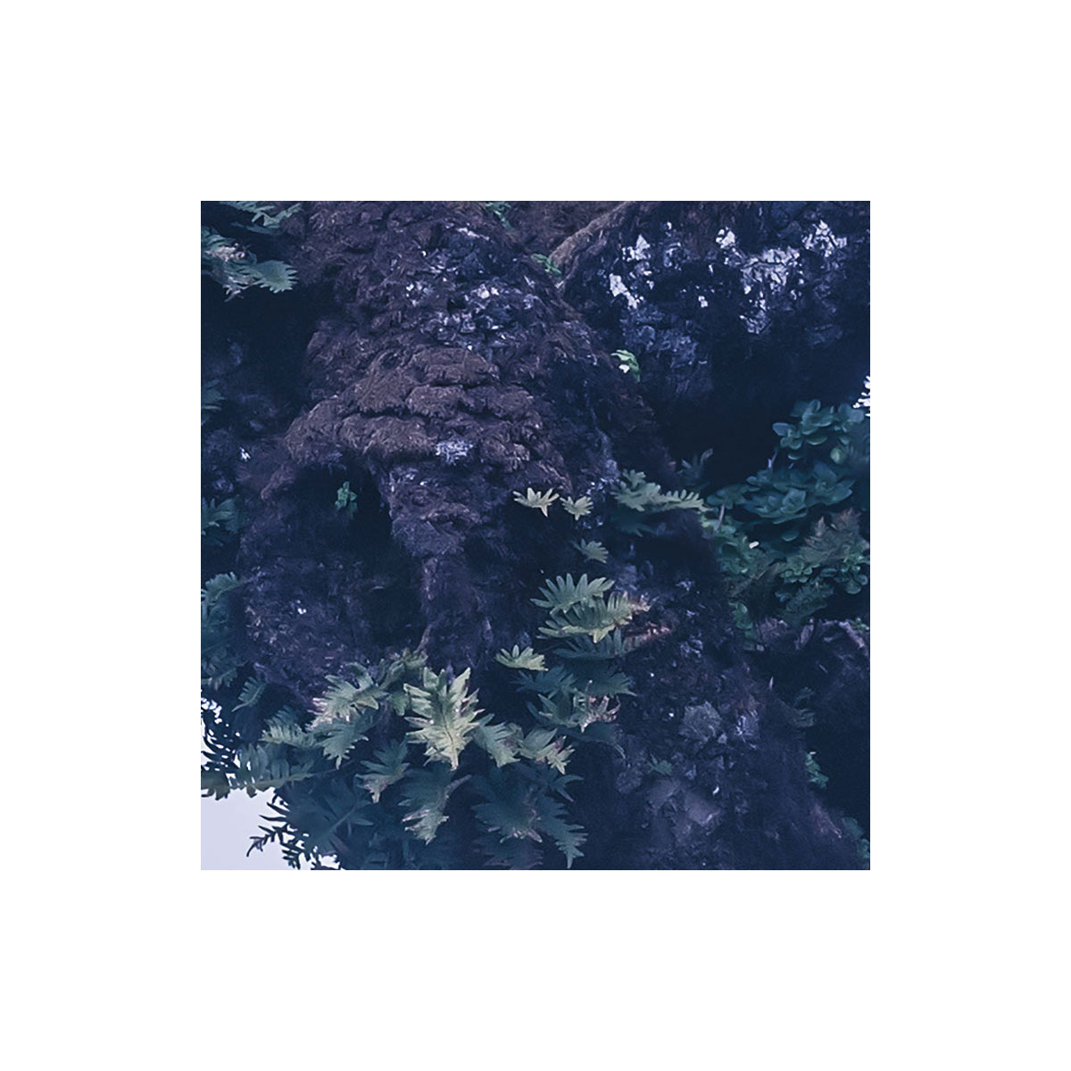 Komar  Vlies Fototapete Ghost Line 400x250 cm Bild 4