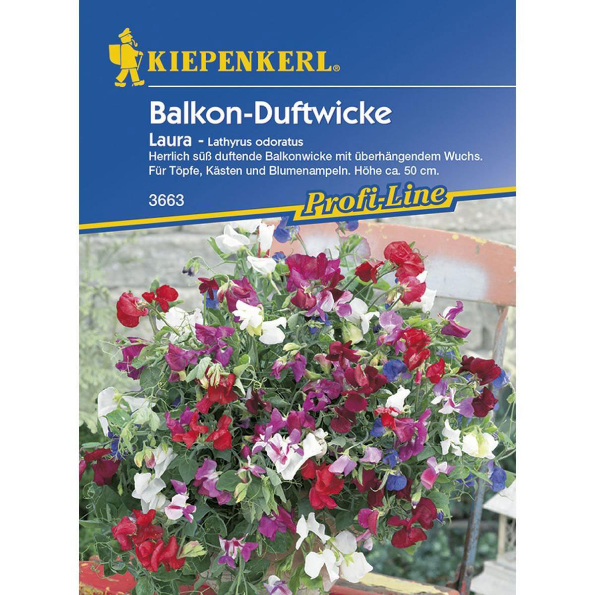 Kiepenkerl Balkon-Wicke Laura Profi-Line Bild 1