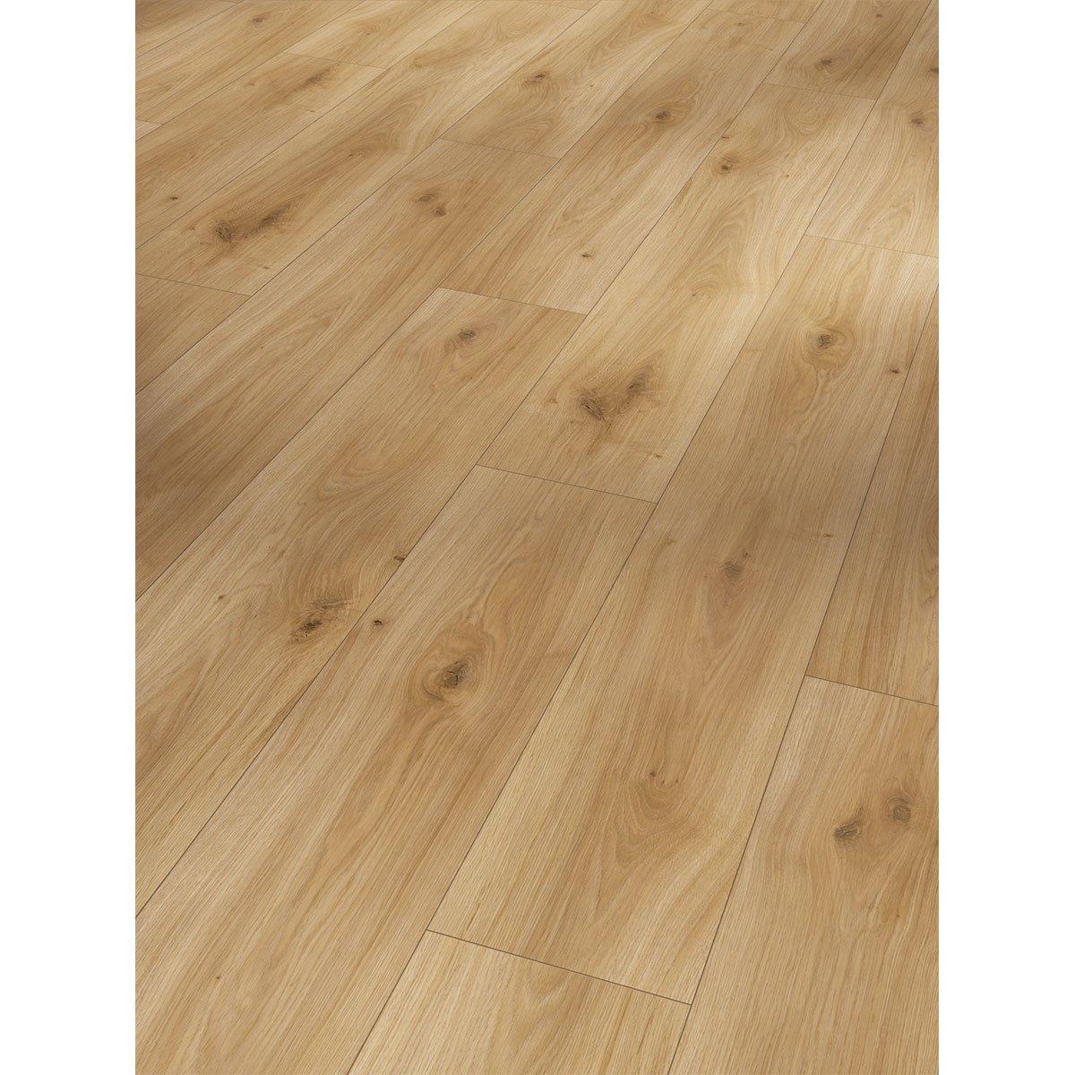 Parador Laminat Basic 200 Eiche Horizont Natur