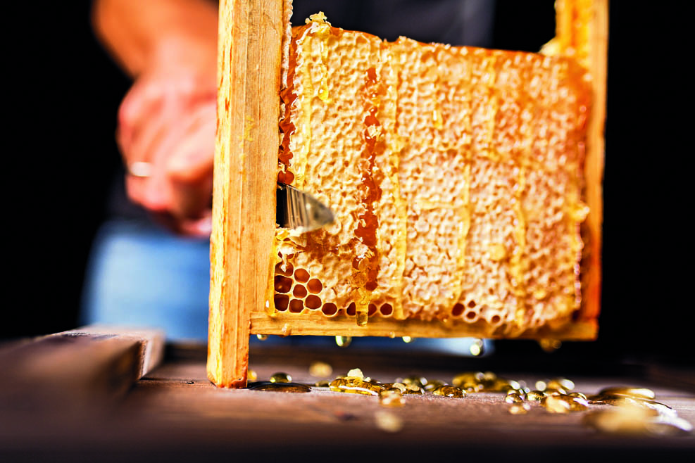 Getrockneter Honig aus einem Bienenstock