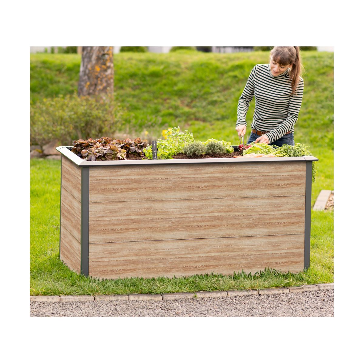 Westmann Hochbeet Primus-Multi L inkl. Schneckenschutz 75x150x77cm Bild 2