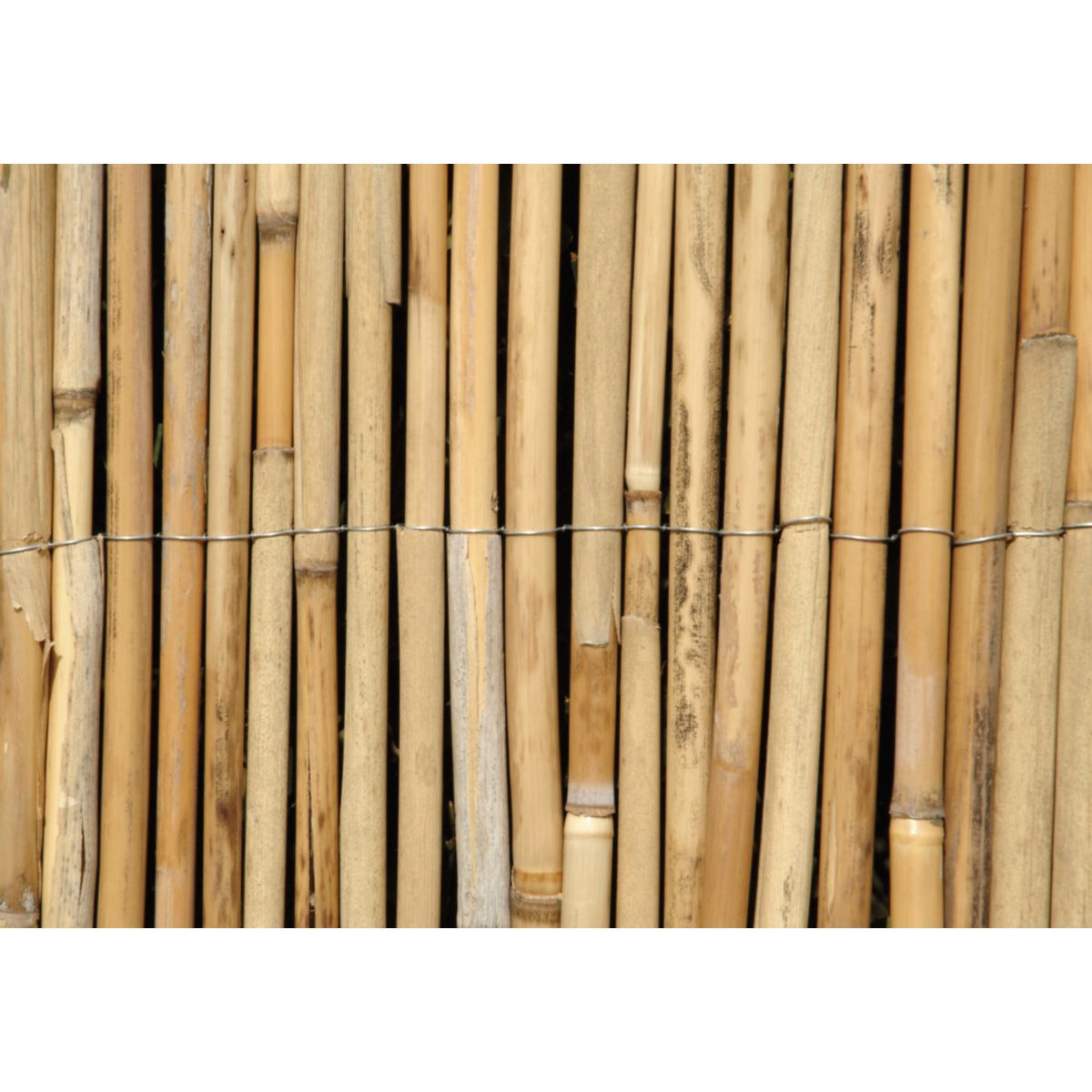 floraworld Sichtschutz Comfort Bergbambus 3,0x0,9 m