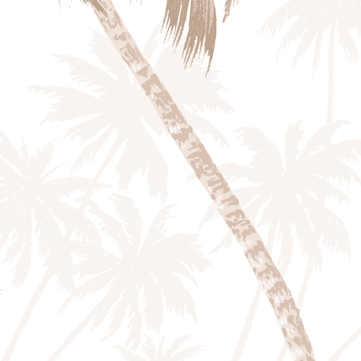 Komar  Vlies Fototapete Palmera 200x280 cm Bild 5