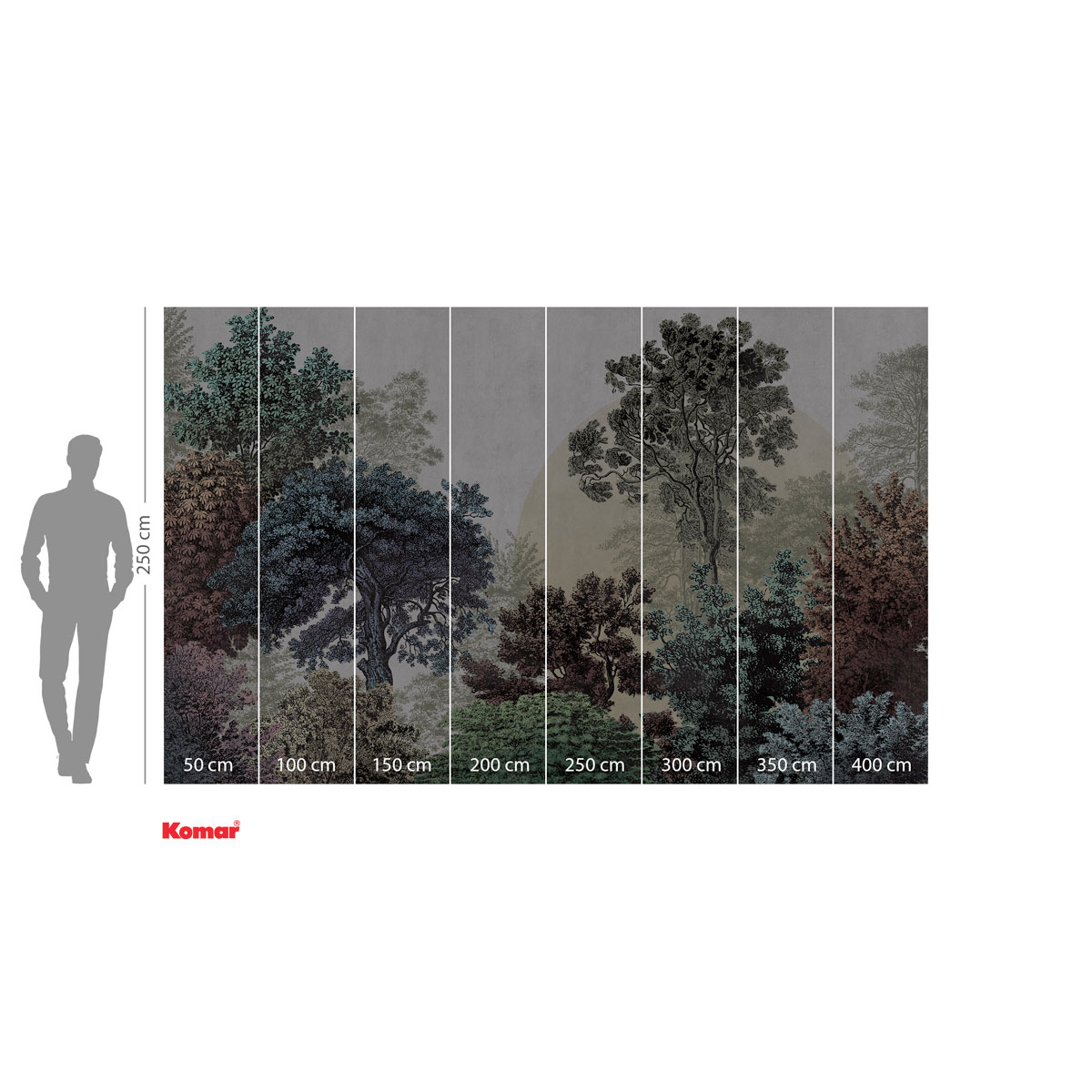 Komar  Vlies Fototapete Bois Brumeux 400x250 cm Bild 3