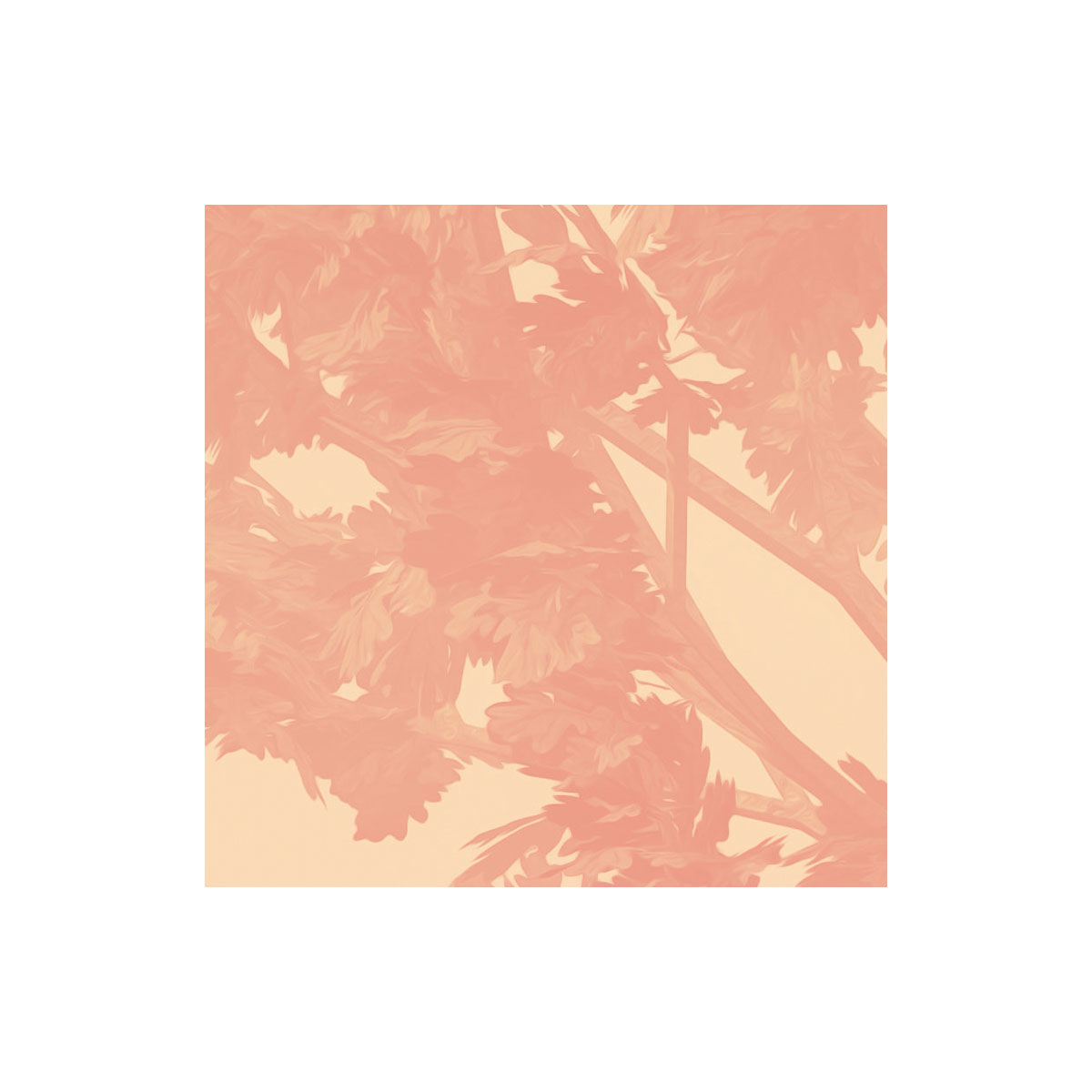 Komar  Vlies Fototapete Heartwood 400x250 cm Bild 4