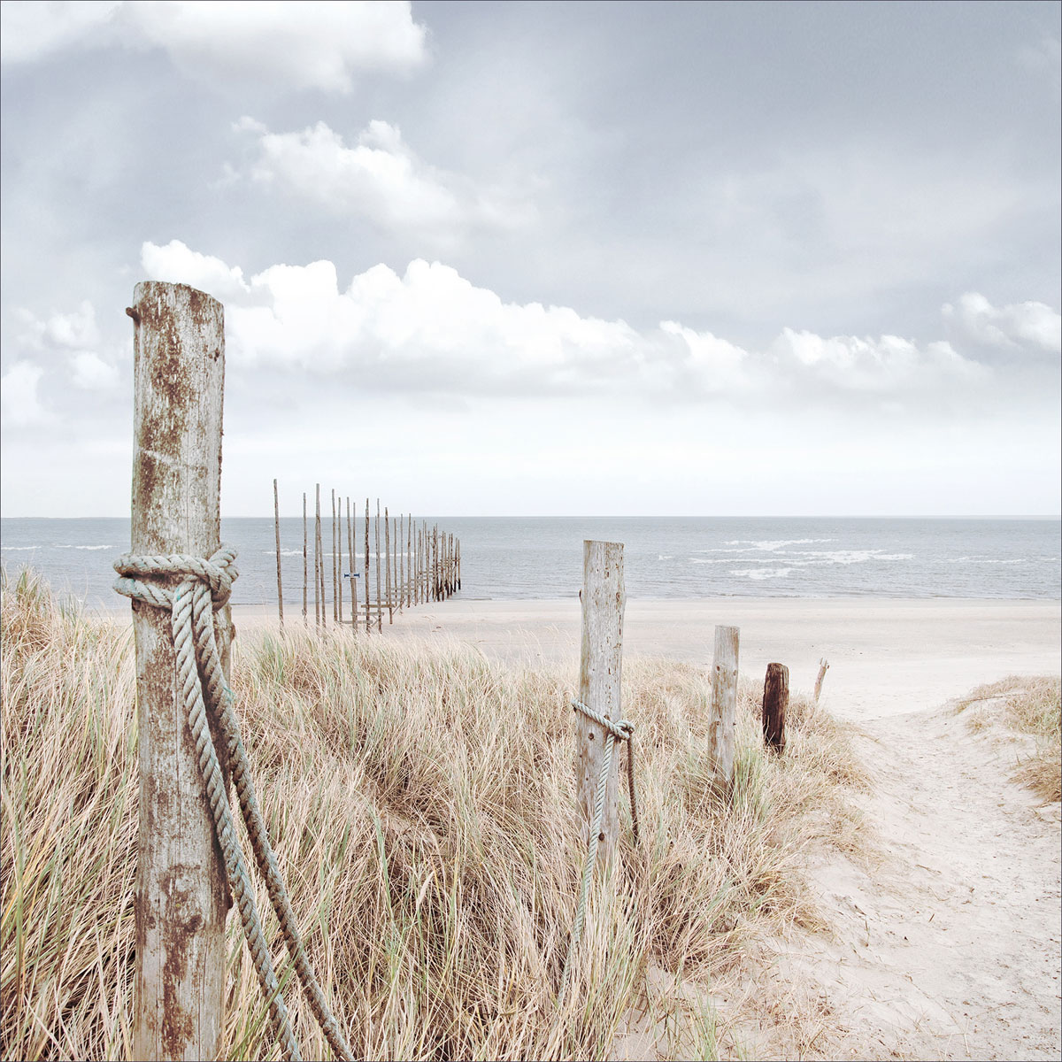 Glas-Art Oase der Sinne II 20 x 20 Glasbild Bild 1