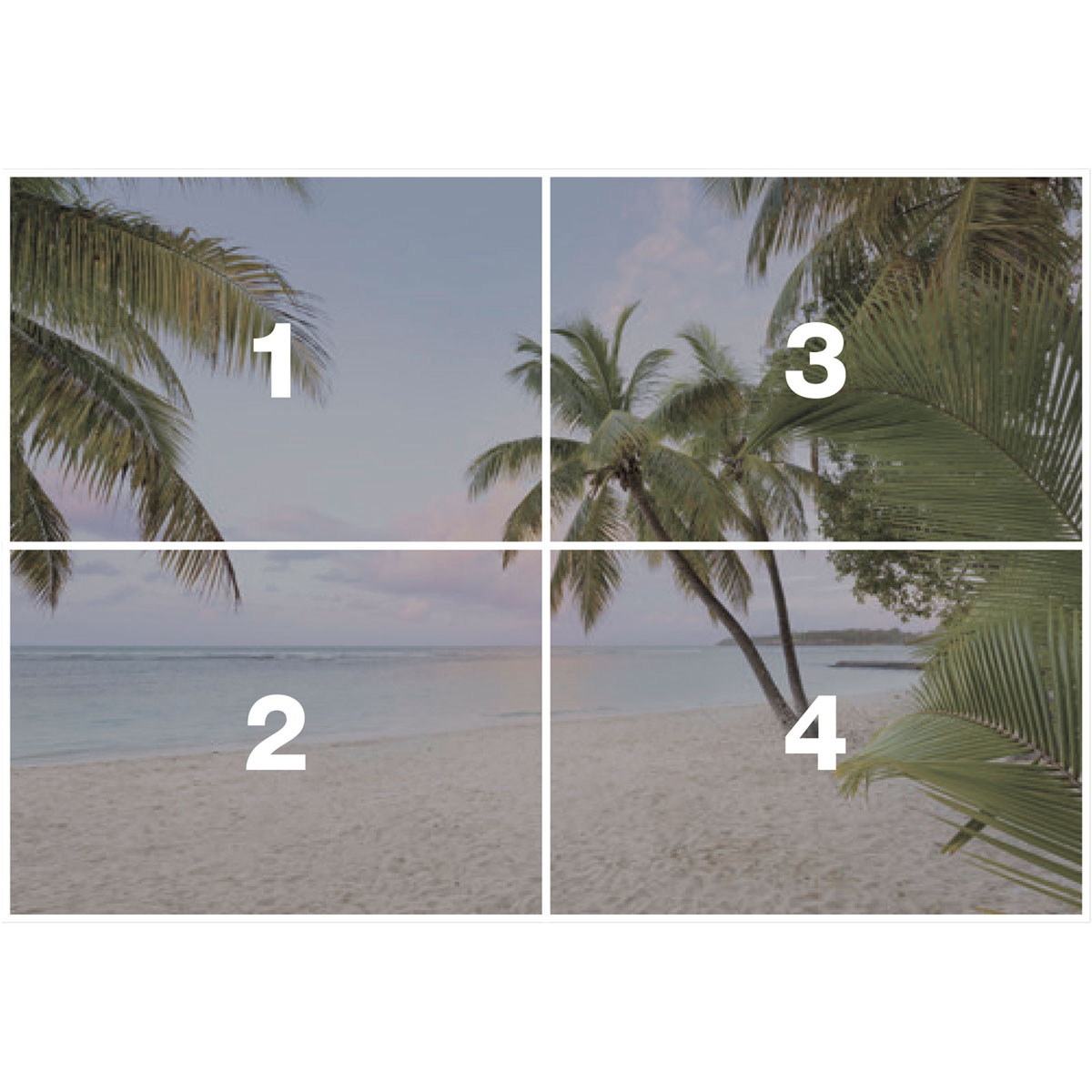 Komar  Vlies Fototapete Paradise Morning 368x248 cm Bild 3