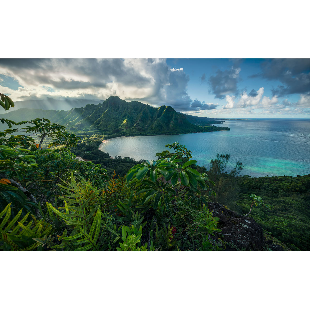 Komar  Vlies Fototapete Jurassic Island 450x280 cm Bild 2