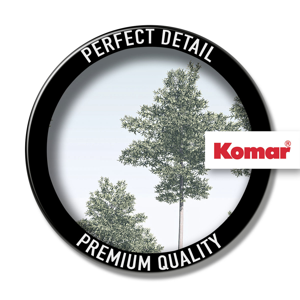 Komar  Vlies Fototapete Pines 400x280 cm Bild 8