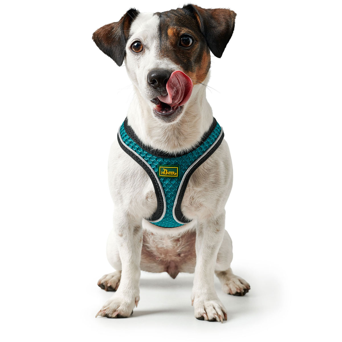 Hunter Hundegeschirr Hilo Comfort türkis Größe XS Bild 8