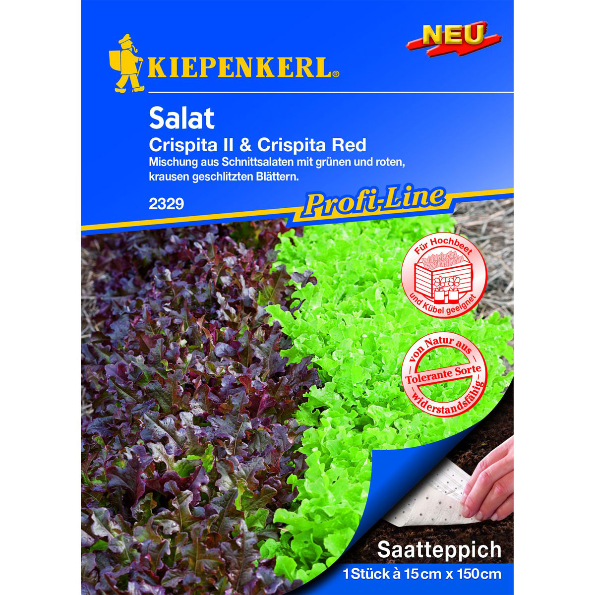Kiepenkerl Salat Crisp IICrisp Red LS16037 Saatteppich Bild 1