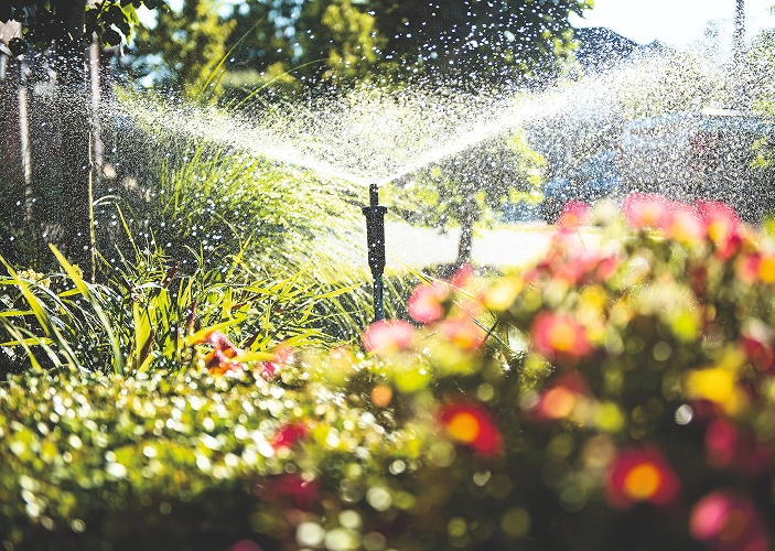 Rasensprenger in einem Garten