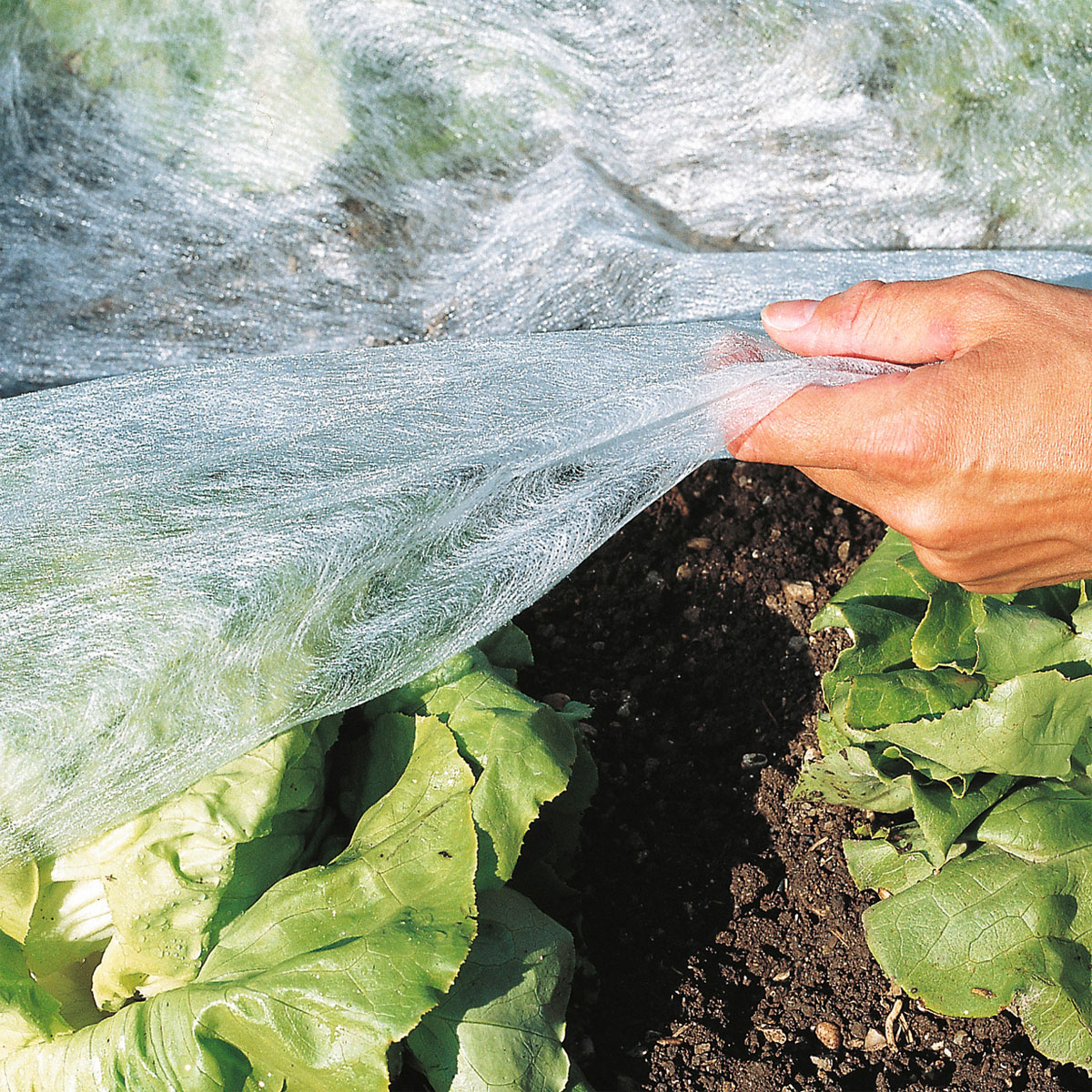 Windhager  Garten-Vlies 10x1,5 m weiß