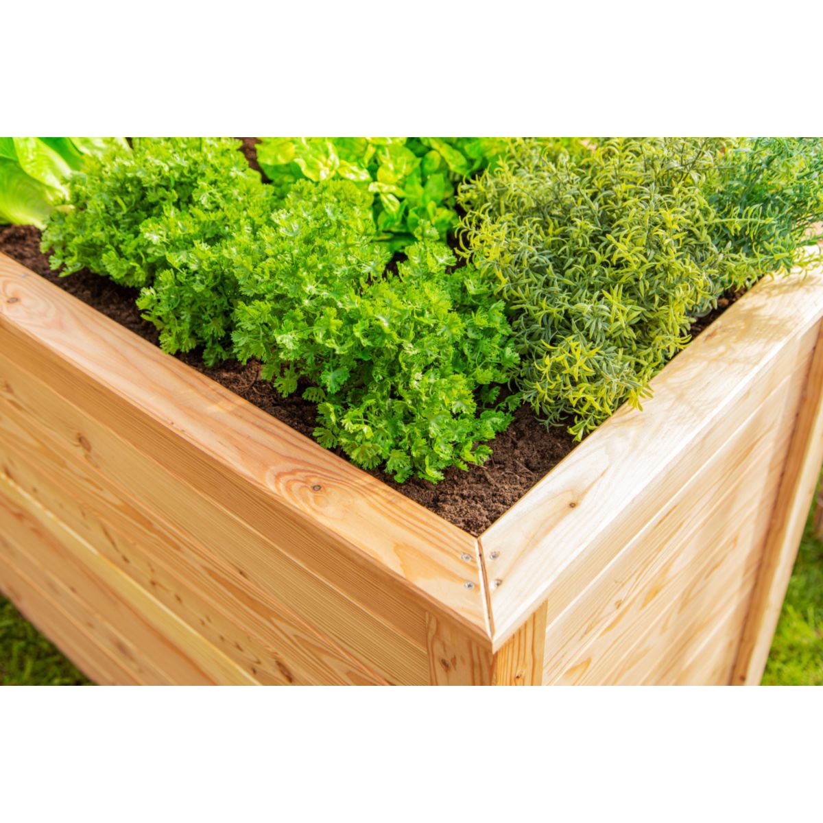 Westmann Hochbeet Klassik 130 65x130x84cm Bild 2