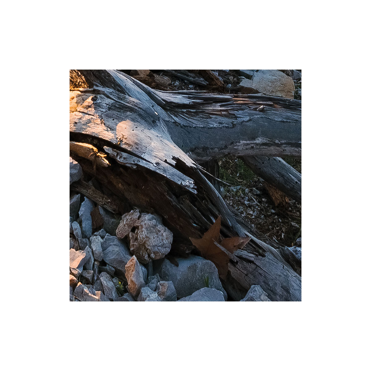 Komar  Vlies Fototapete Licht des Südens 400x280 cm Bild 4