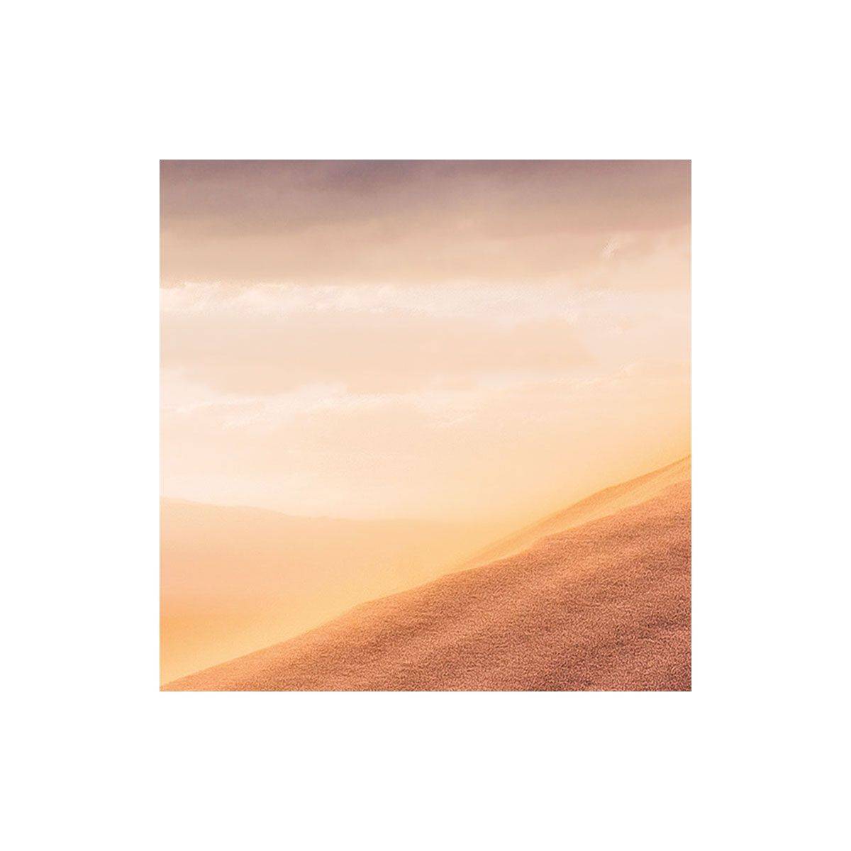 Komar  Vlies Fototapete Gently Touched 400x250 cm Bild 5