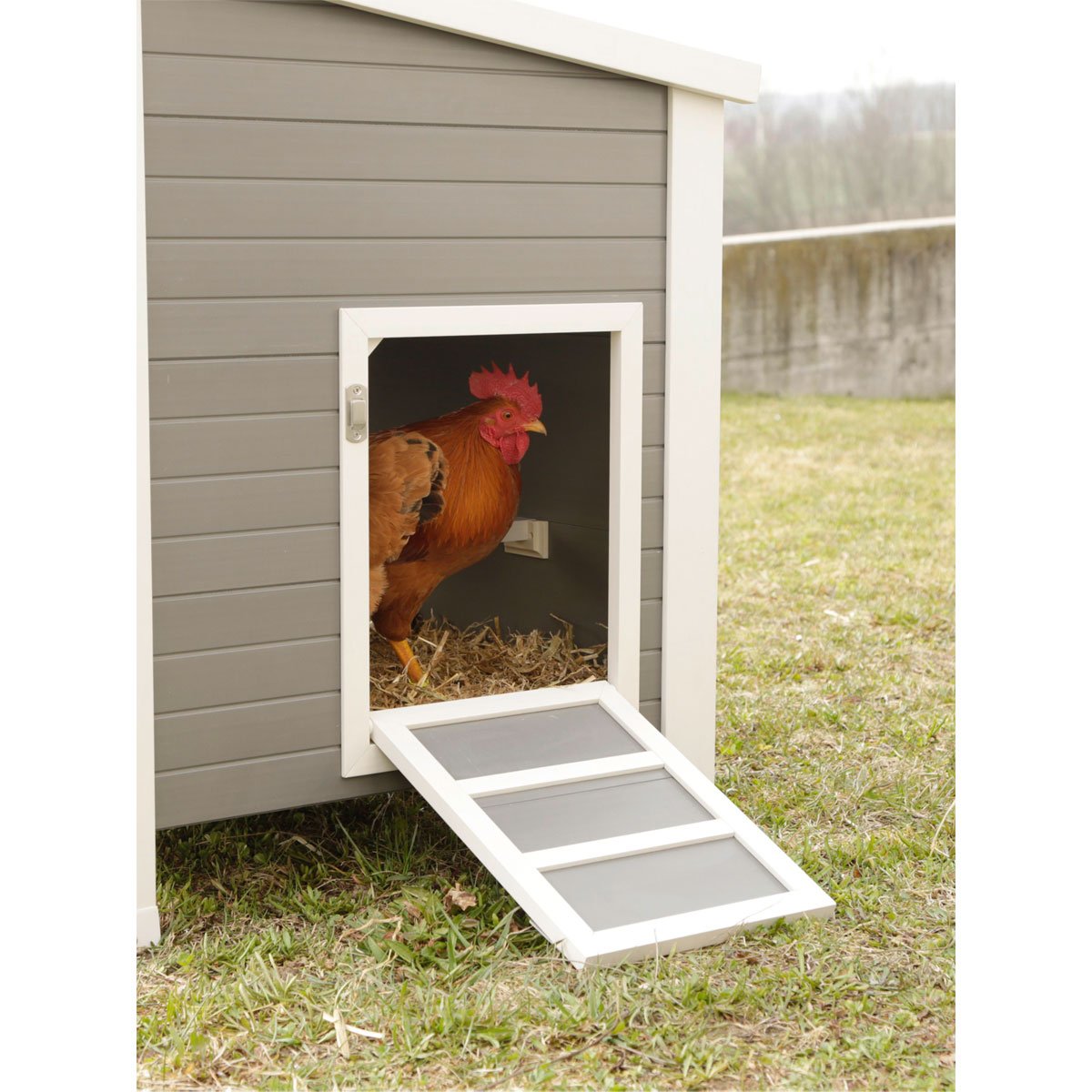 Kunststoffstall Barney 137 x 73 x 83 cm Bild 4