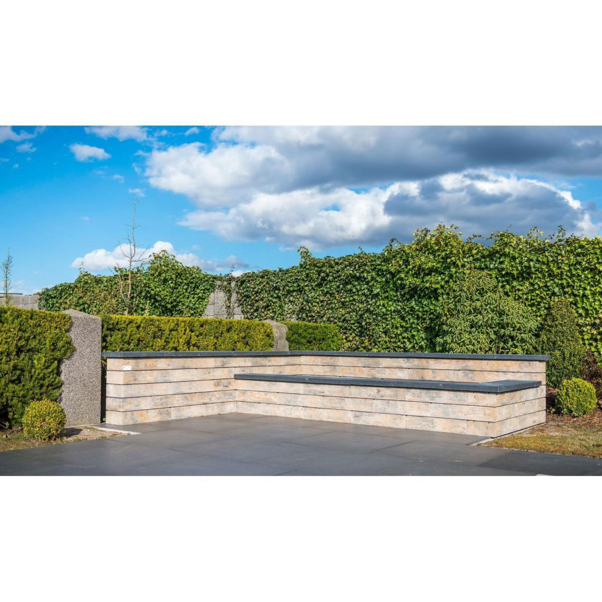 Diephaus  Mauersteine Top 60 x 25 x 12,5 cm Muschelkalk Bild 5