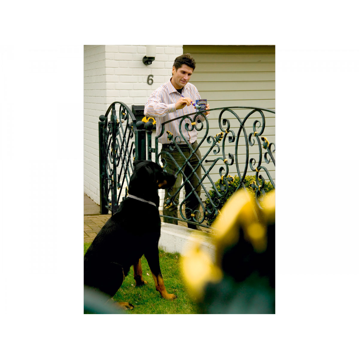 Hammerite Metallschutzlack dunkelgrün glanz 750 ml Bild 4