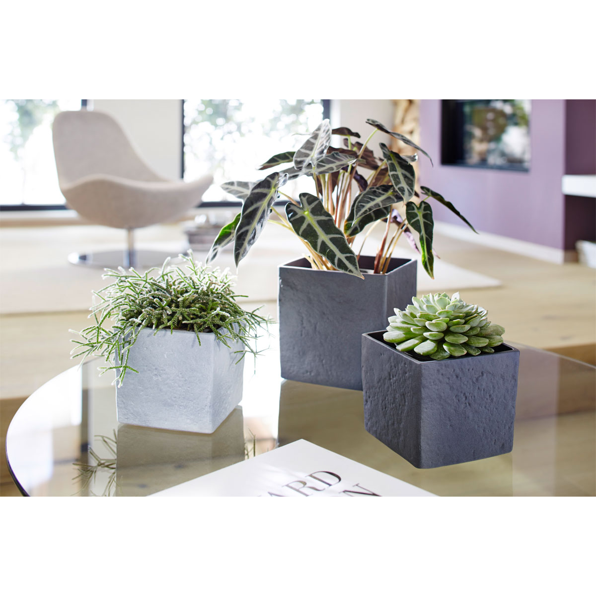 Scheurich Übertopf Stone 970 16 cm graphite Bild 2