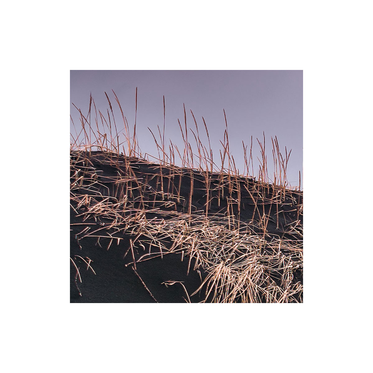 Komar  Vlies Fototapete Glowing Vestrahorn 200x250 cm Bild 7