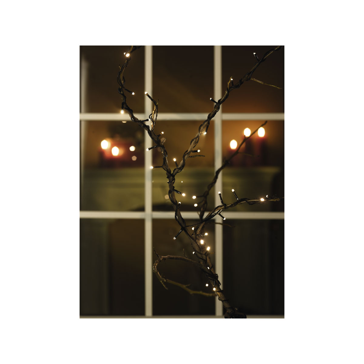 Ambientis LED-Außenlichterkette 40 LEDs Bild 1