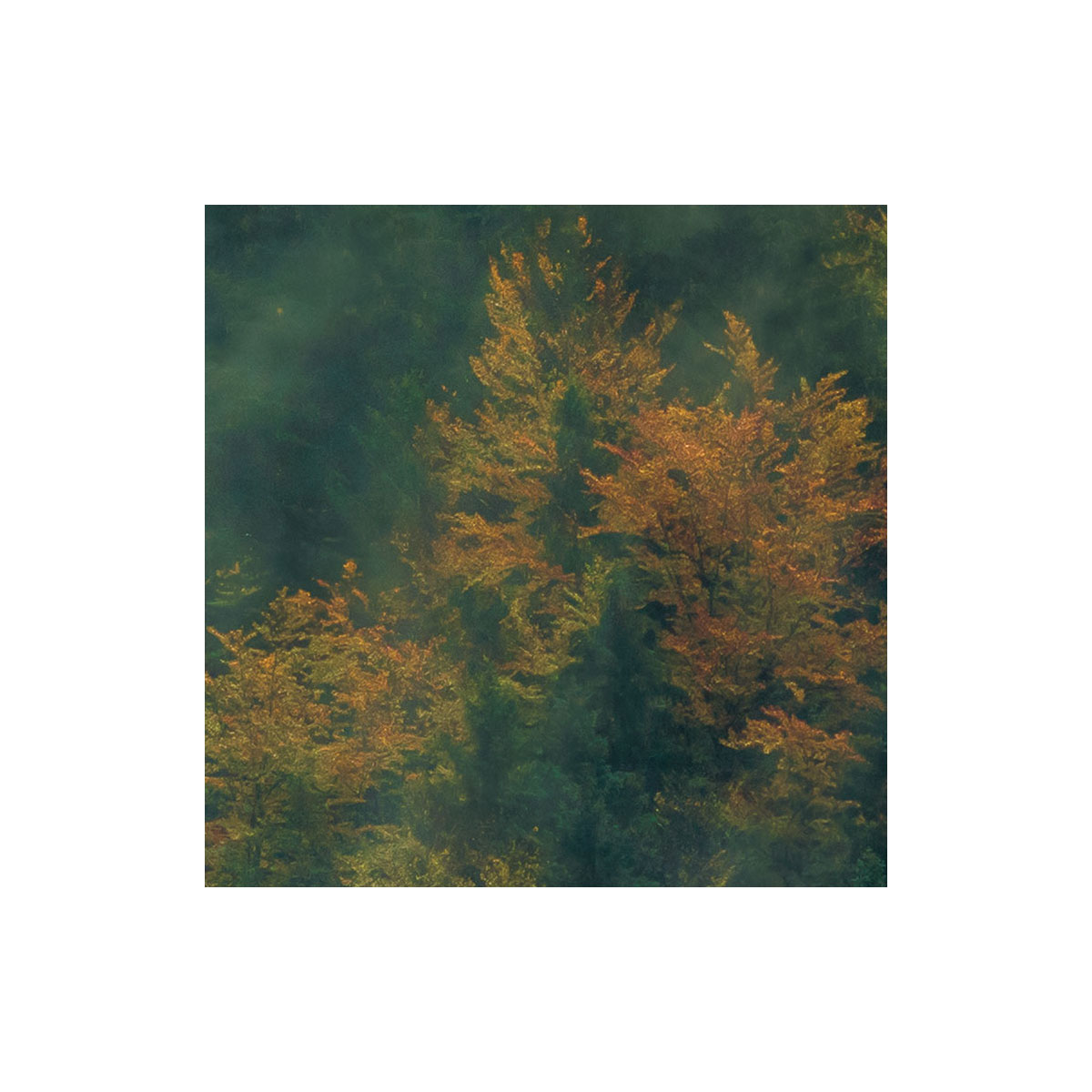 Komar  Vlies Fototapete Tales of the Carpathians 300x200 cm Bild 4