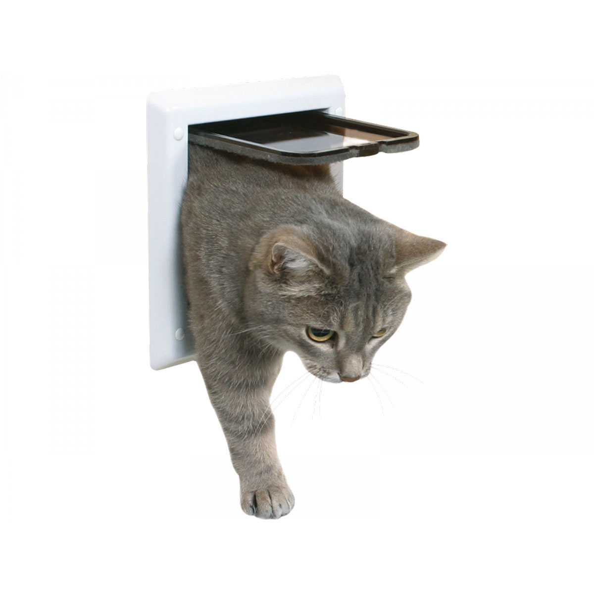 Trixie  2-Wege Freilauftür braun 21 x 21 cm Bild 3