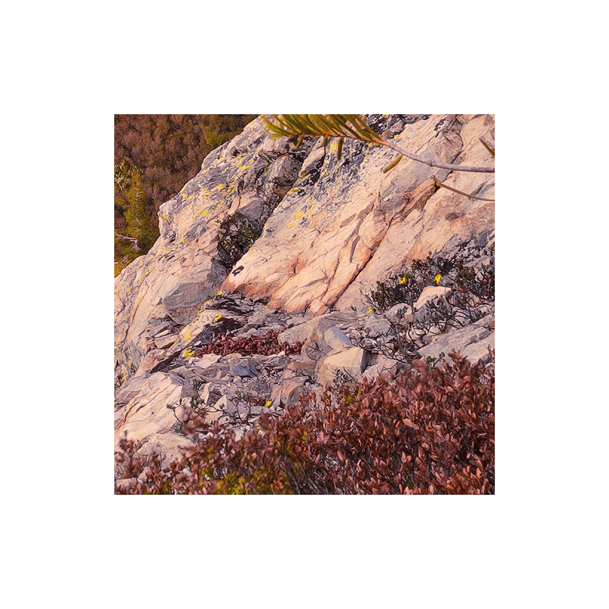 Komar  Vlies Fototapete Between the Light 450x280 cm Bild 6