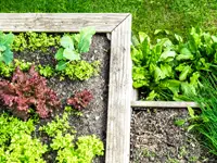 Bepflanztes Hochbeet mit Salaten