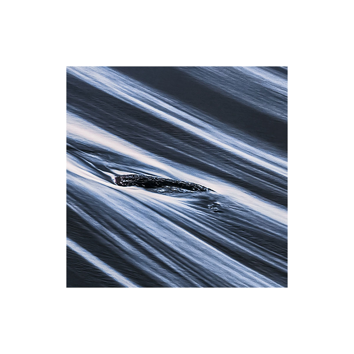 Komar  Vlies Fototapete Smooth 400x250 cm Bild 6