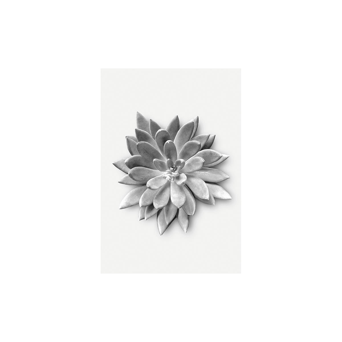 Komar  Wandbild Succulent Agave 40x50 cm Bild 2