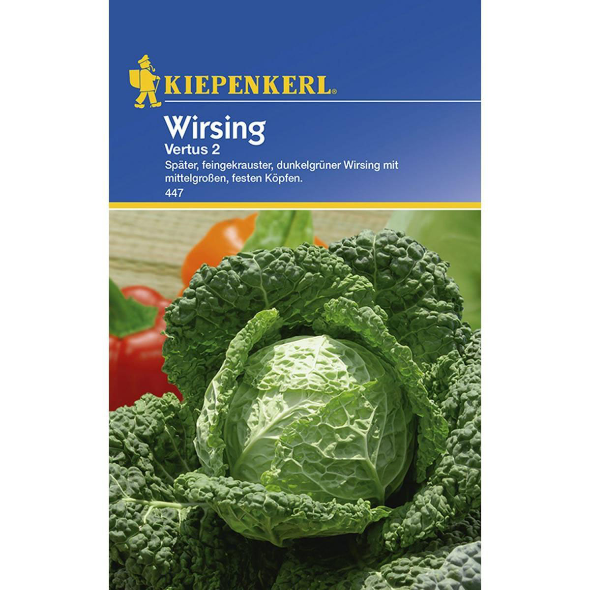 Kiepenkerl Wirsing Vertus 2