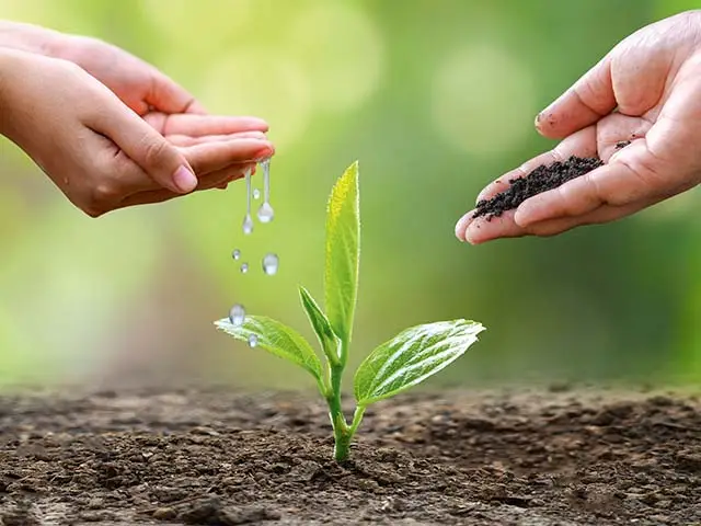 Nachhaltigkeit bei HELLWEG