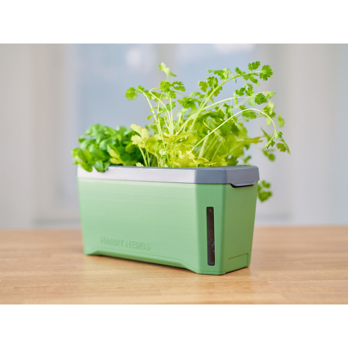 Anzuchtgefäß Harry Herbs mit Deckel dunkelgrün Bild 1