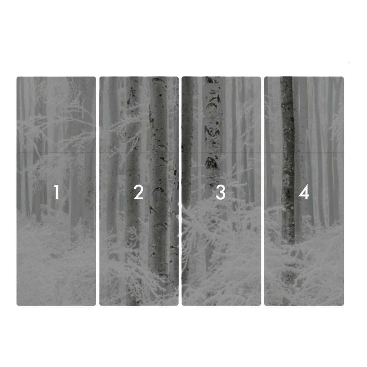 Komar  Vlies Fototapete Winter Wood 400x280 cm Bild 3